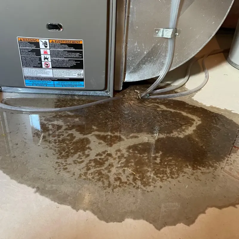 Appliance Leak Cleanup in Farmington, AR