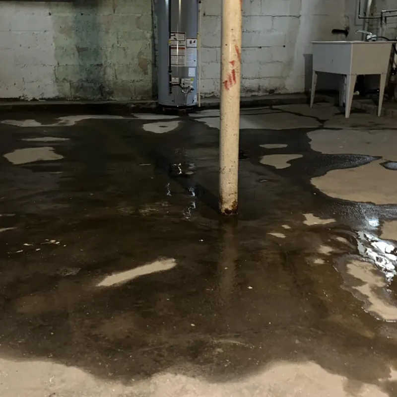 Emergency Water Extraction And Removal in Farmington, AR